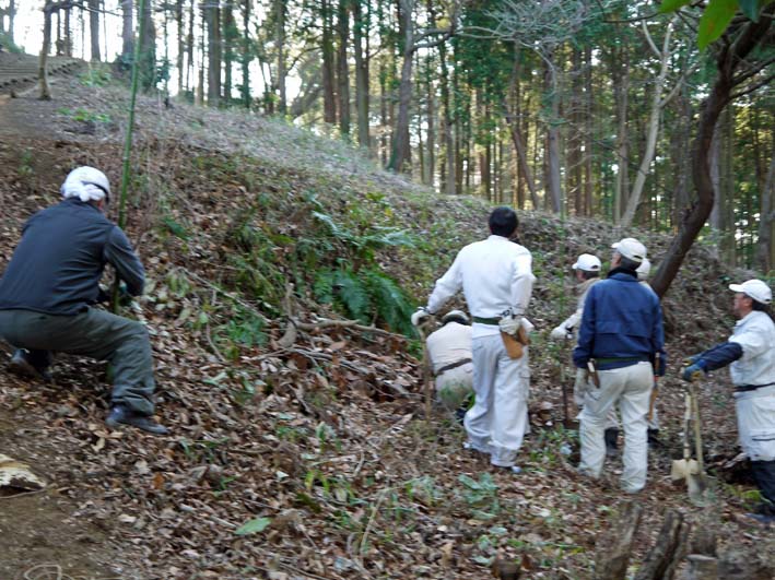 六国見山に通算５回目の植樹（エゴノキとイロハモミジ）1・29_c0014967_8255437.jpg