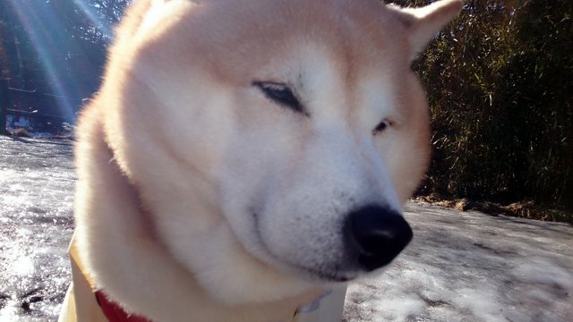 b0274270_16155756.jpg