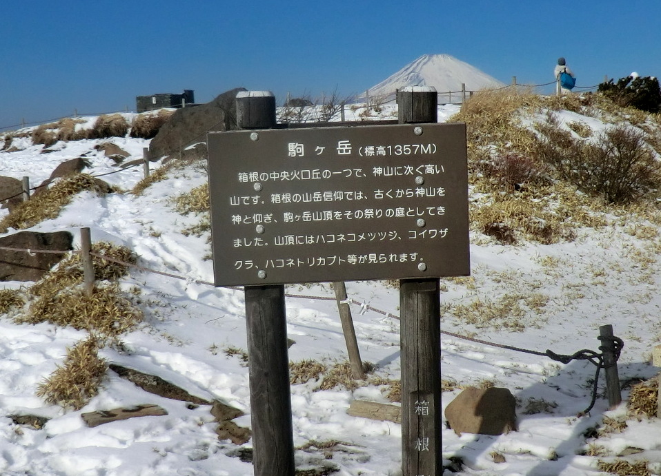 No328 箱根・ロープウエーで駒ケ岳～神山ピストン_b0185573_2033663.jpg