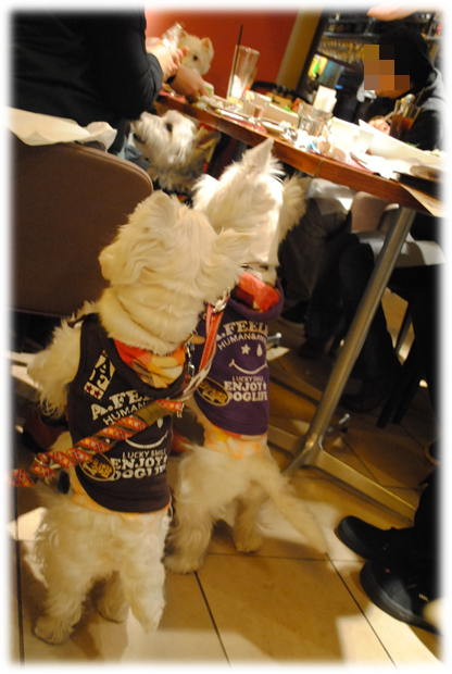b0242873_01461927.png