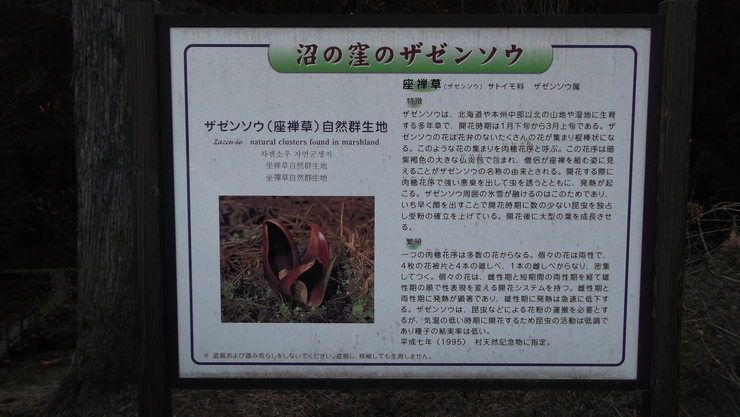c0212083_21153860.jpg