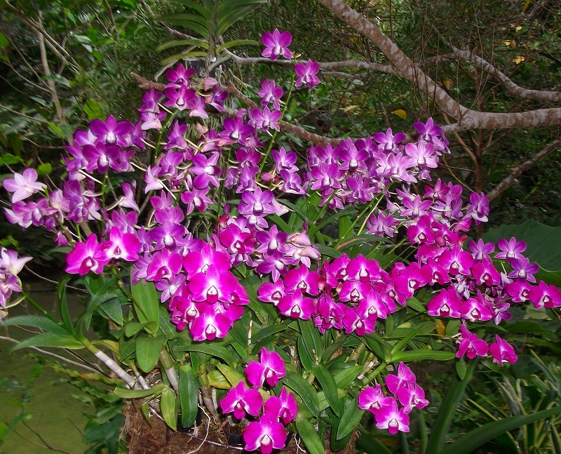 f0059487_10103377.jpg