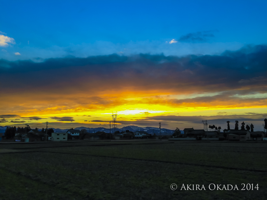 #51 僕は富山にはじめて来て、庭に生えている木を見て(写真右)焼き鳥みたいな木だと思った_c0315588_04353371.jpg