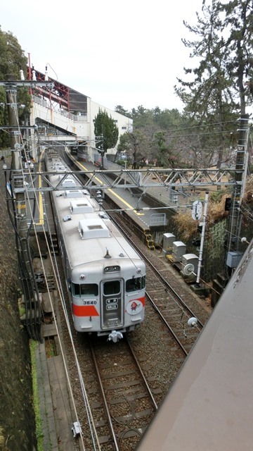 d0181492_10354291.jpg