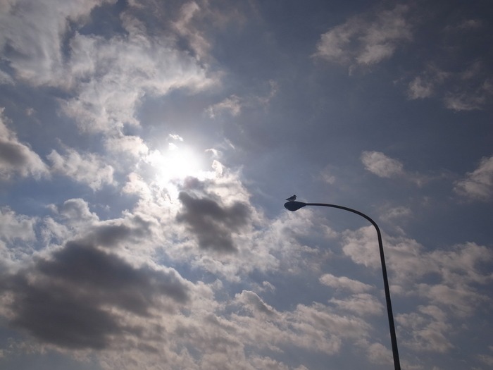 c0049299_231322100.jpg