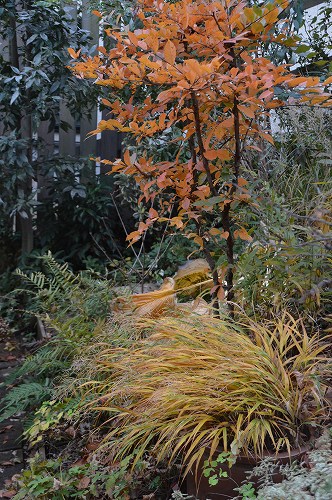c0124100_23333451.jpg