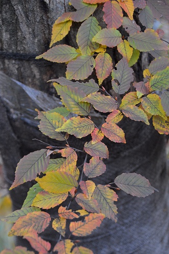 c0124100_23334419.jpg