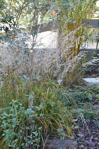 c0124100_2334178.jpg