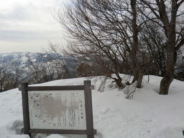d0159609_1982361.jpg