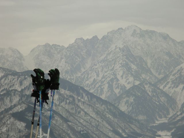 d0159609_1985056.jpg