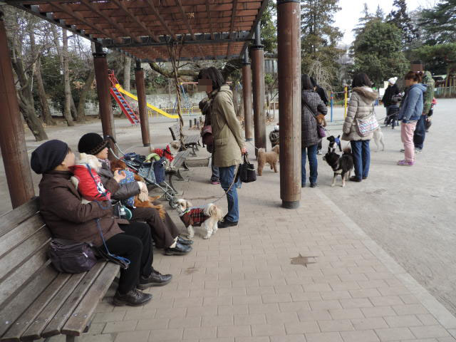 b0312810_17455742.jpg