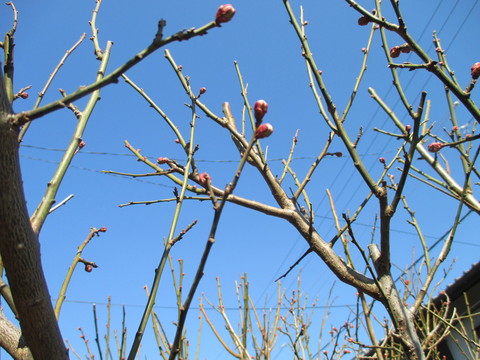b0183111_97317.jpg
