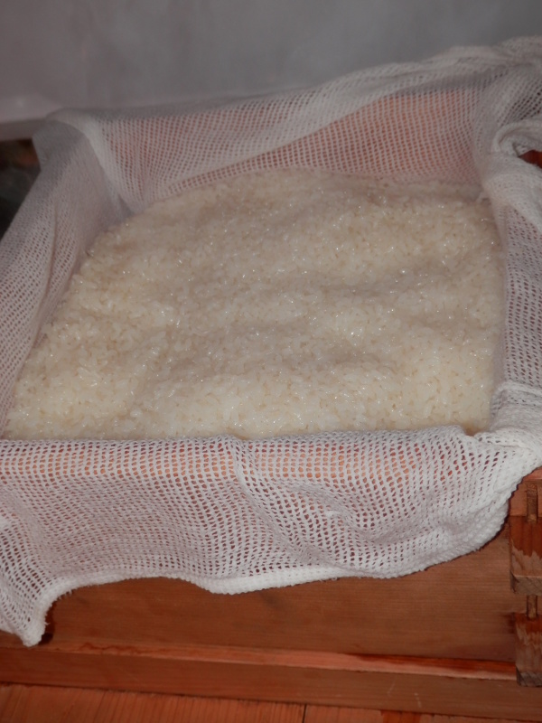 香り高い「ヒノキ」の蒸器で作る 有機「玄米餅」作り_a0125419_07112110.jpg