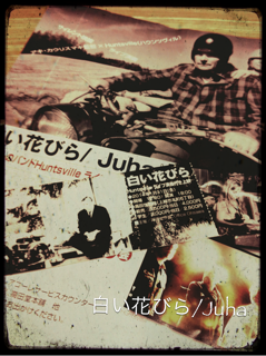 e0229120_2358998.png