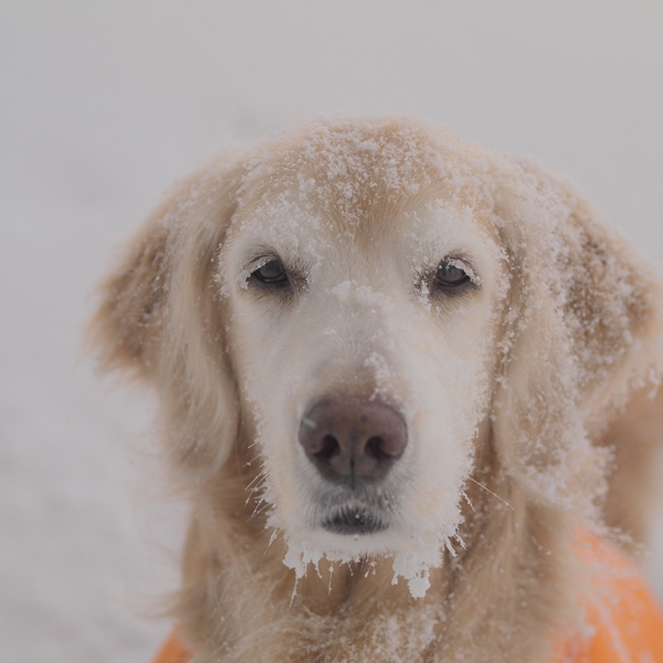 吹雪***_f0227228_058148.jpg