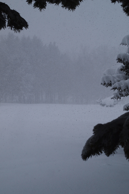 吹雪***_f0227228_111747.jpg