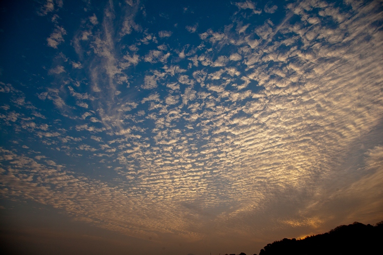 朝焼けの高積雲_c0165046_19284737.jpg