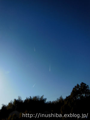 a0286855_859628.jpg