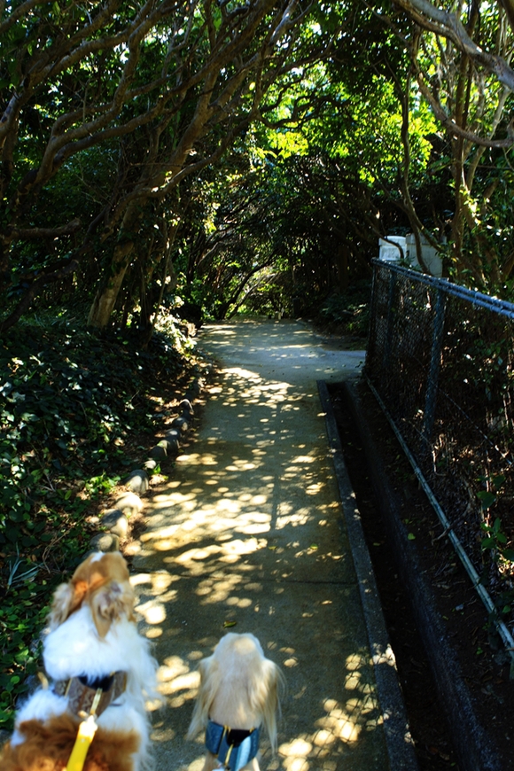 f0268259_23132099.jpg