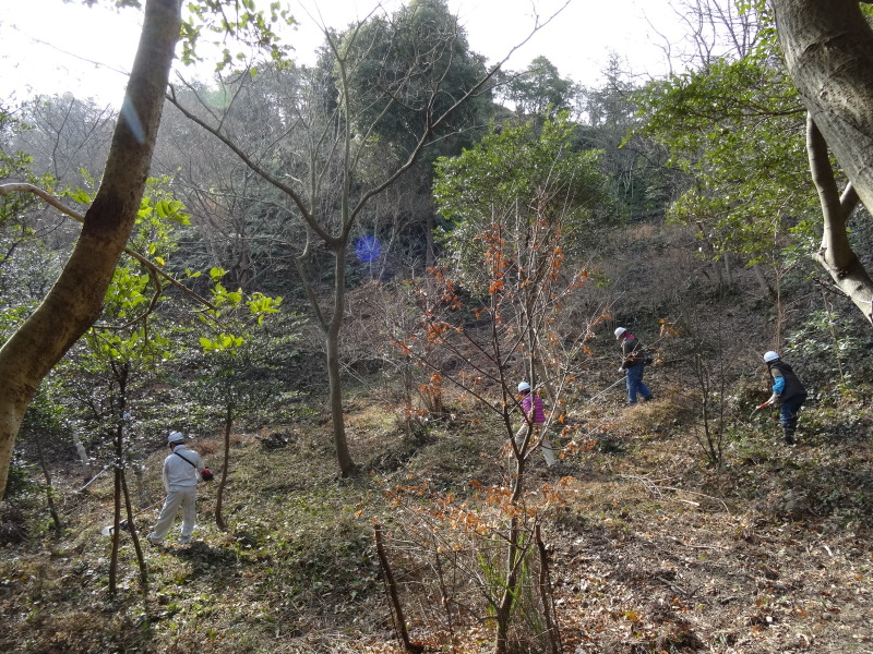 倉庫の建物移動大作戦　　in    孝子の森_c0108460_19450920.jpg