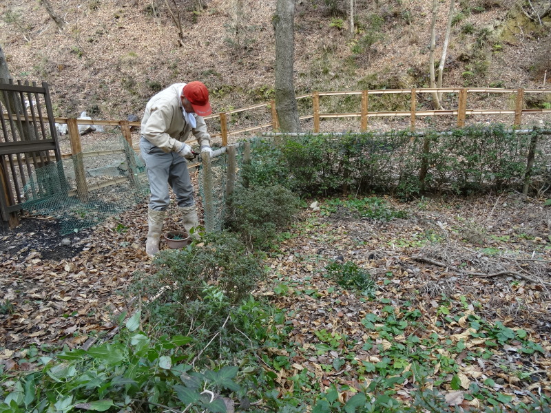 倉庫の建物移動大作戦　　in    孝子の森_c0108460_19495503.jpg