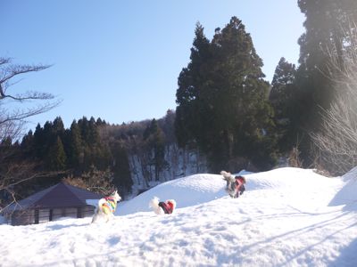 カニ旅行 in 自給自足_a0119263_1535433.jpg