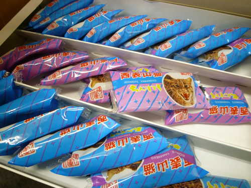 【有成堂製菓】西表山猫チョコチップちんすこう_c0152767_22364162.jpg