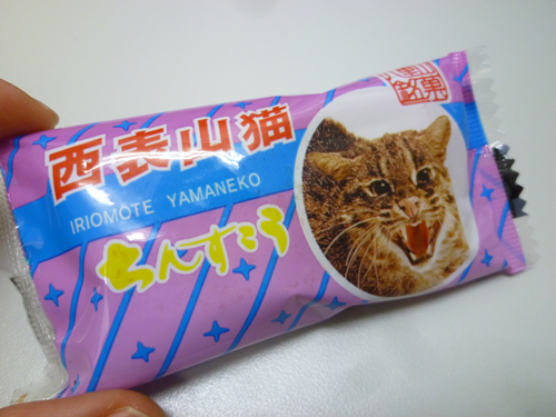 【有成堂製菓】西表山猫チョコチップちんすこう_c0152767_22375914.jpg