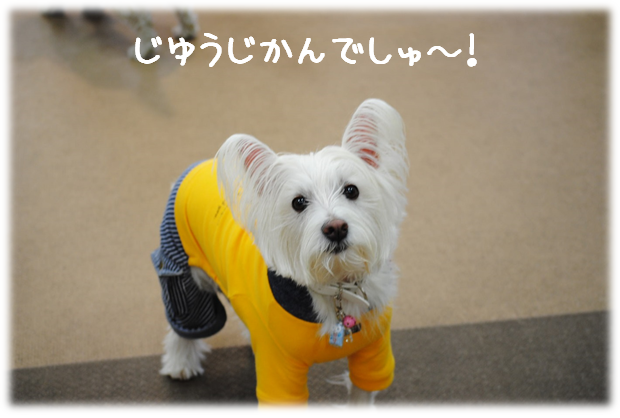 b0242873_11090826.png