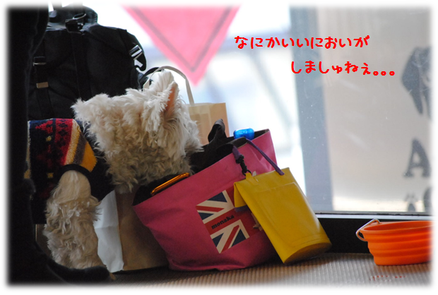 b0242873_11141145.png