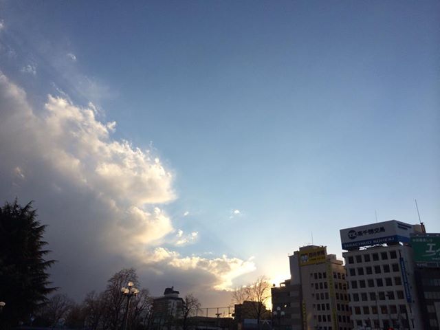 c0110074_029918.jpg