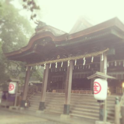 2月です よ ・・・ もうすぐ春 。_b0110586_19484086.jpg