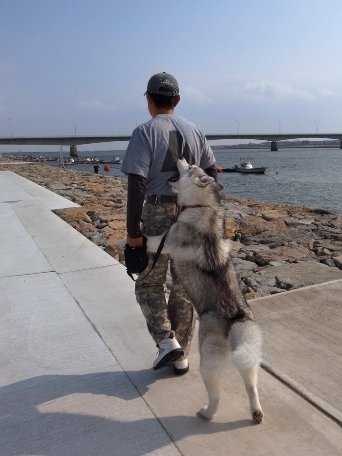 ぽかぽか陽気の宮崎港_c0049299_21245286.jpg