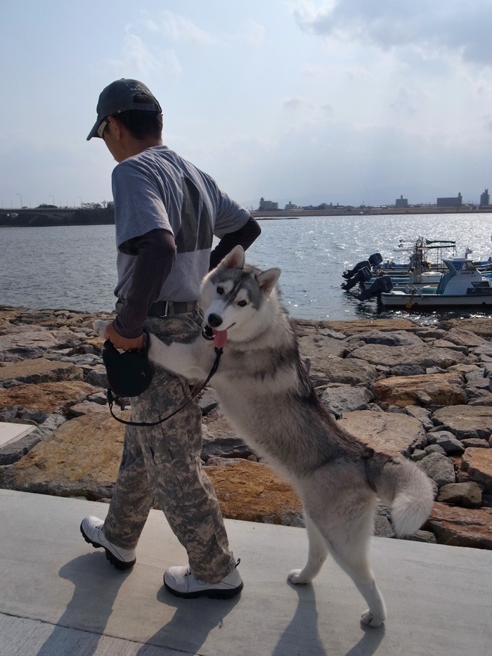 ぽかぽか陽気の宮崎港_c0049299_21252443.jpg