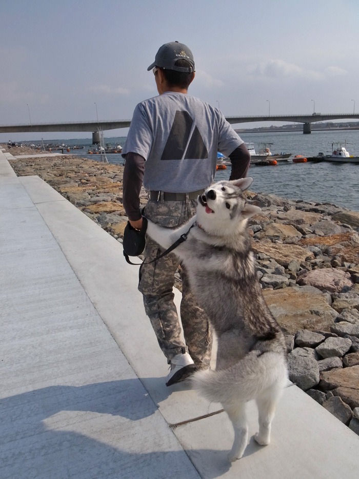 ぽかぽか陽気の宮崎港_c0049299_2125531.jpg
