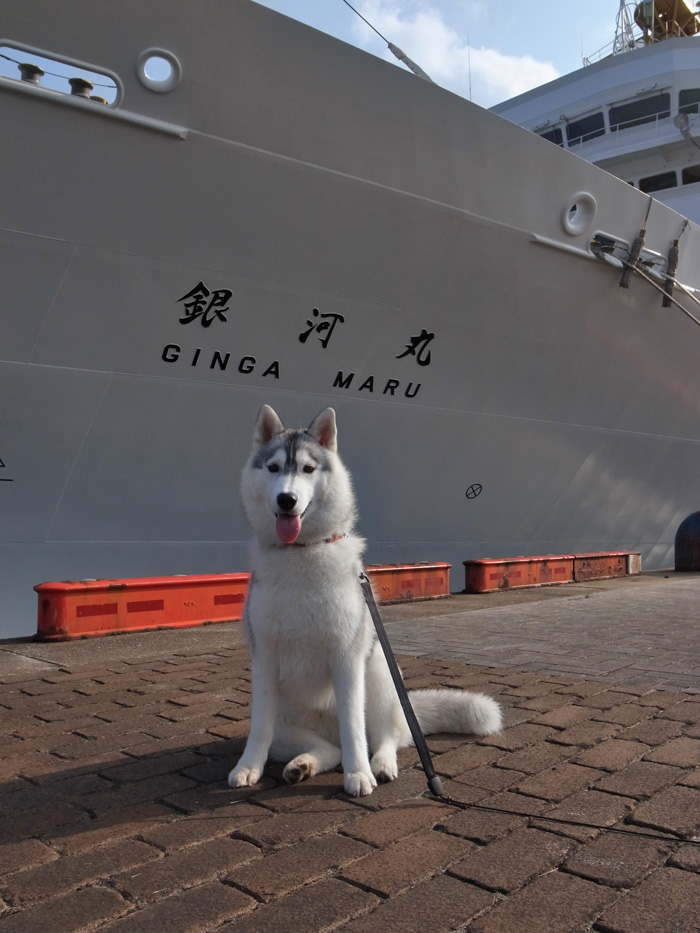 ぽかぽか陽気の宮崎港_c0049299_21341336.jpg