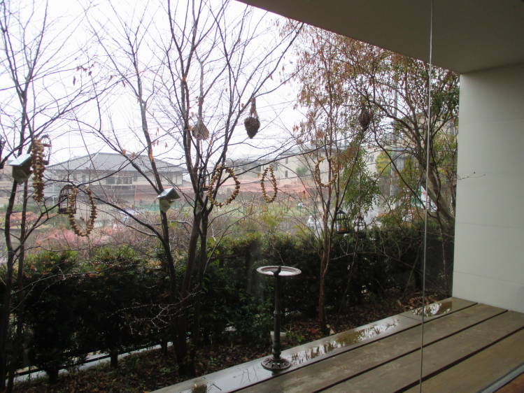 f0031304_7701.jpg