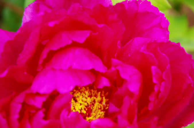 a0263109_1081570.jpg