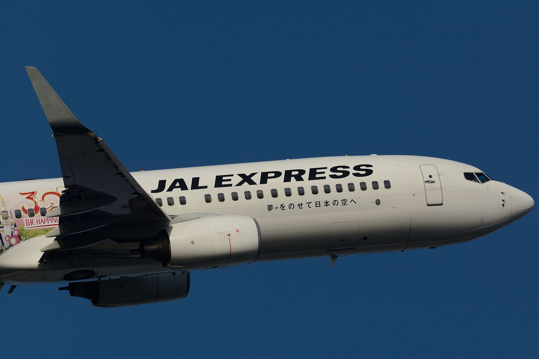 BOEING 737-800 / JA332J - JAL Happiness Express 3 - : SKY