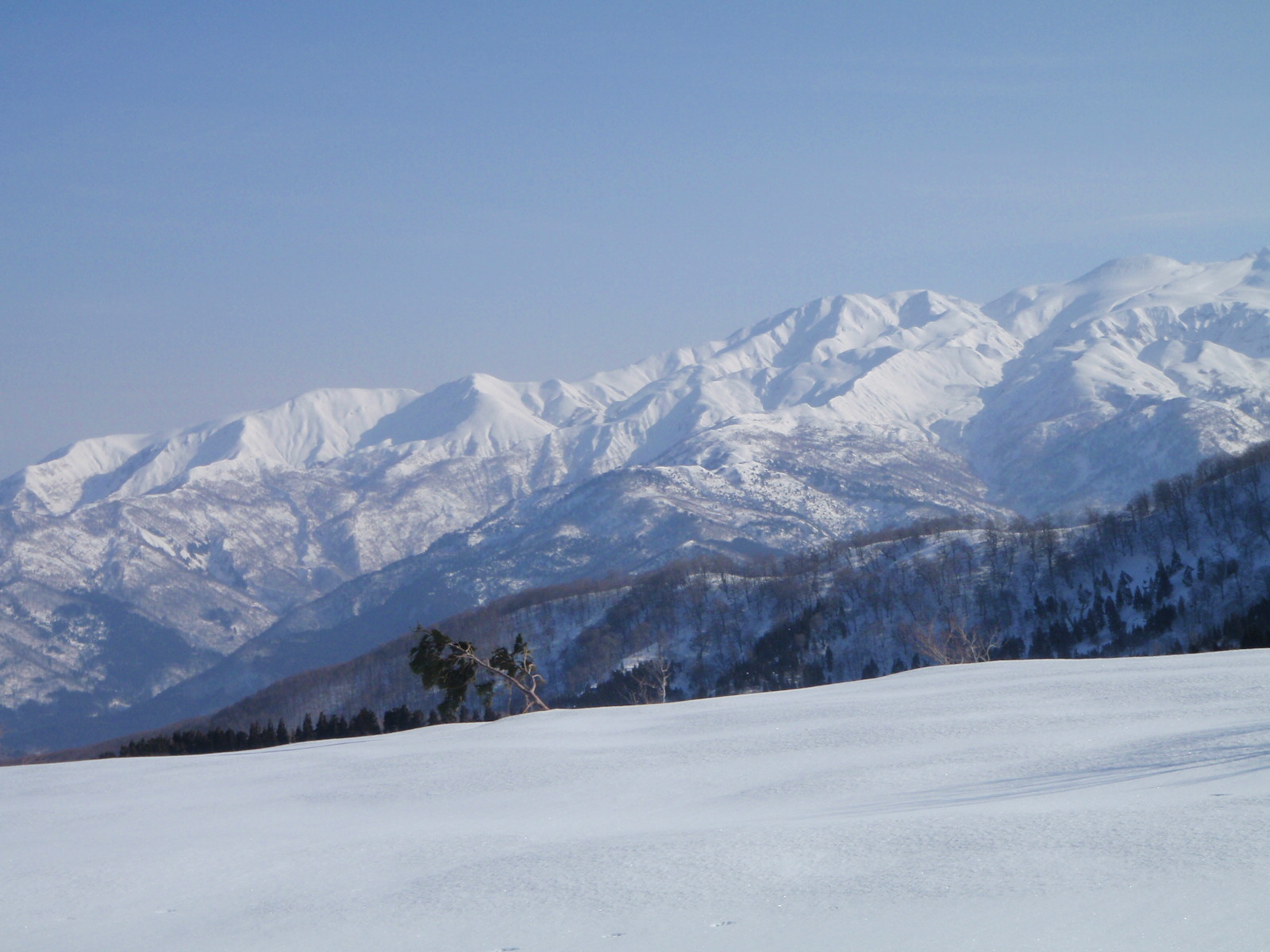 d0264710_21384448.jpg