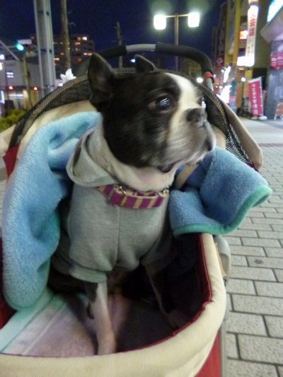 c0280416_0373849.jpg