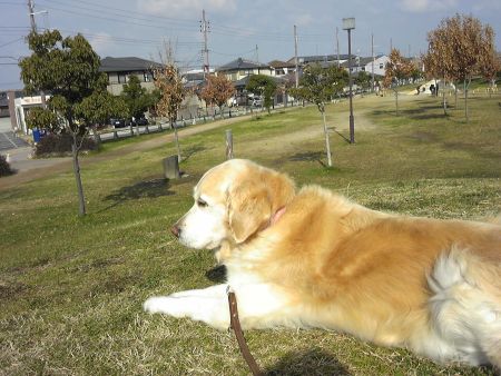 晴れた日は古墳の見える公園へ２_b0008217_14255142.jpg