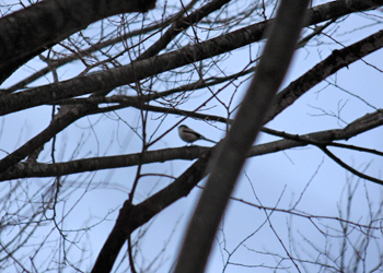 f0232920_162631.gif