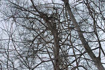 f0232920_16271041.gif