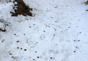 f0232920_16281075.gif