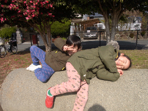 d0151227_1193863.gif