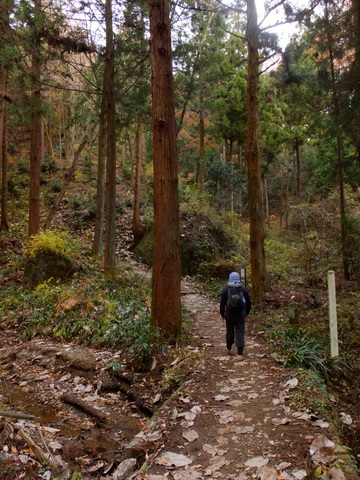 ゆる〜り石老山歩き　〜12月8日(日)〜　その①_b0281732_55935.jpg