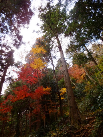 ゆる〜り石老山歩き　〜12月8日(日)〜　その②_b0281732_6553176.jpg