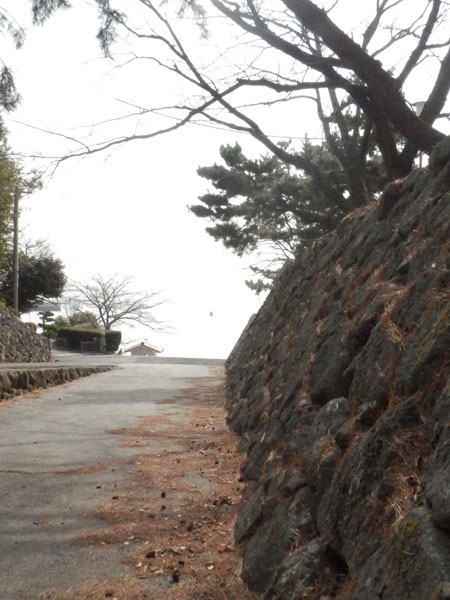 c0047341_9334932.jpg