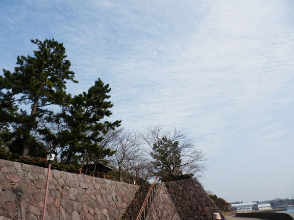 c0047341_93406.jpg